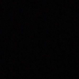 Meet your Posher, Larry